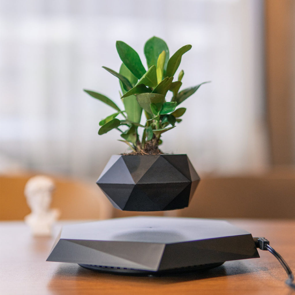 2025 New Cross-Border Dropshipping Suspended Flower Pots Cross-Border Dropshipping