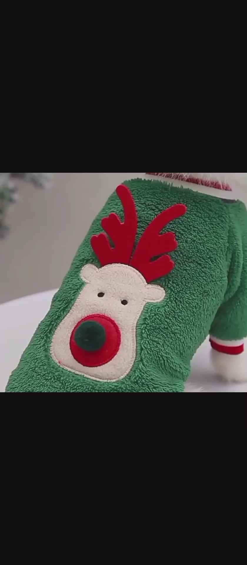 Christmas Dog clothe